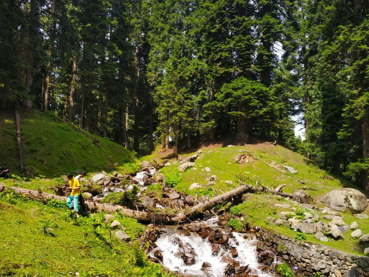 unsplash-momin-lVkX7V40VG8-unsplash